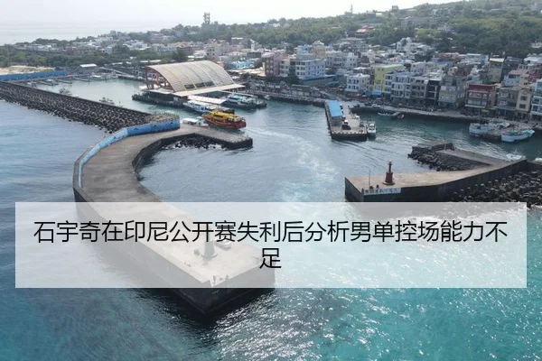 石宇奇在印尼公开赛失利后分析男单控场能力不足