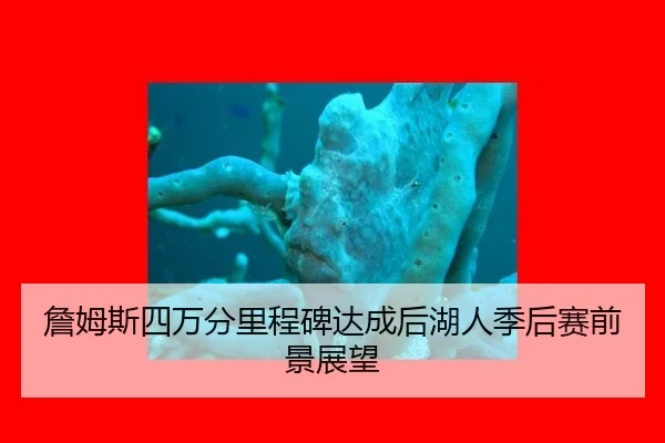 zhan-mu-si-si-wan-fen-li-cheng-bei-da-cheng-hou-hu-ren-ji-hou-sai-qian-jing-zhan-wang-3-699.jpg