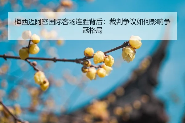 mei-xi-mai-a-mi-guo-ji-ke-chang-lian-sheng-bei-hou-cai-pan-zheng-yi-ru-he-ying-xiang-zheng-guan-ge-ju-2-762.jpg
