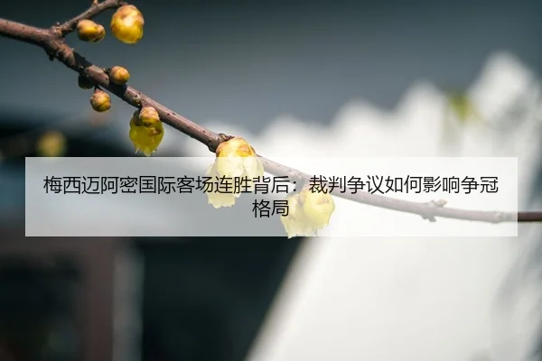 mei-xi-mai-a-mi-guo-ji-ke-chang-lian-sheng-bei-hou-cai-pan-zheng-yi-ru-he-ying-xiang-zheng-guan-ge-ju-3-903.jpg