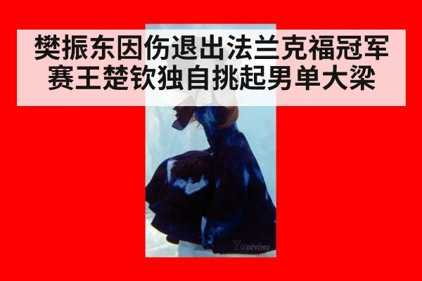 樊振东因伤退出法兰克福冠军赛王楚钦独自挑起男单大梁