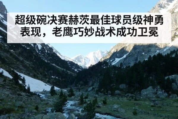 超级碗决赛赫茨最佳球员级神勇表现，老鹰巧妙战术成功卫冕